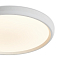 Freya FR6211CL-L24W